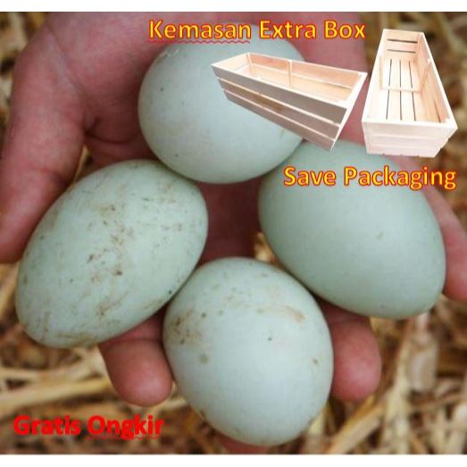 

Telur Bebel mentah murah segar Gratis kemasan box kayu extra aman