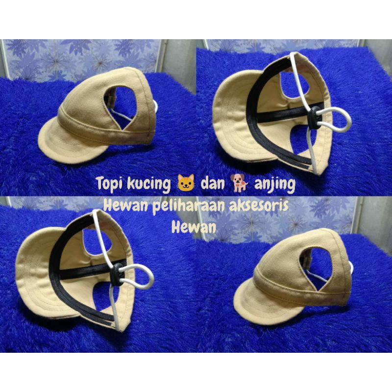 topi kucing dan anjing aksesoris hewan peliharaan