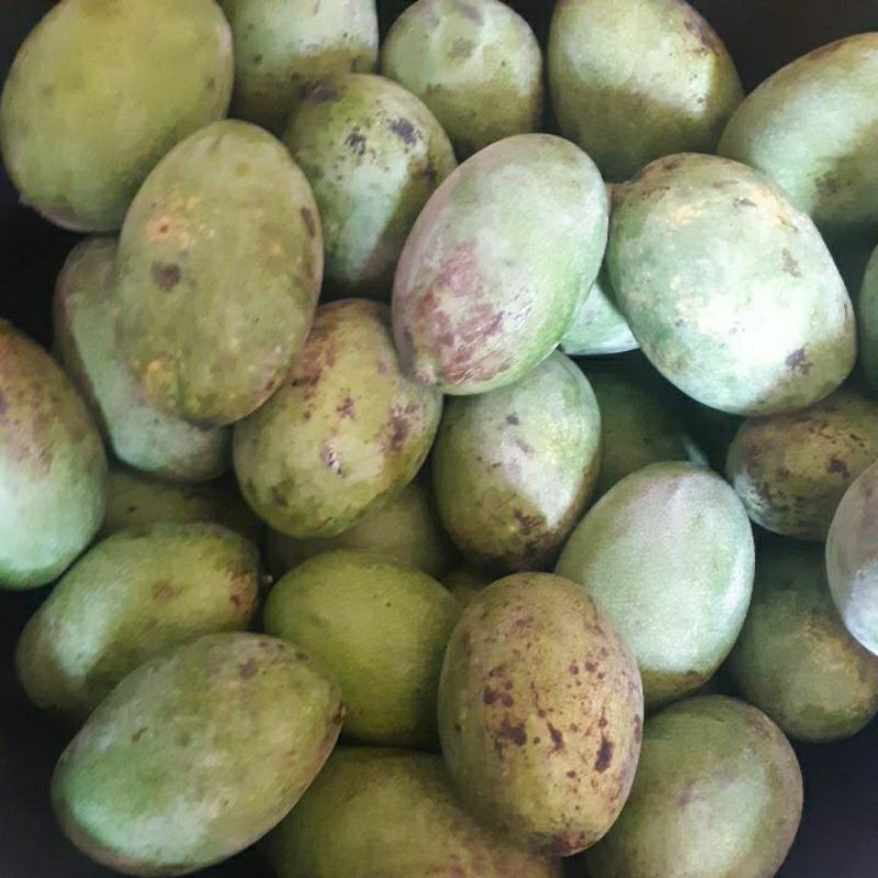 

Manggamanalagi