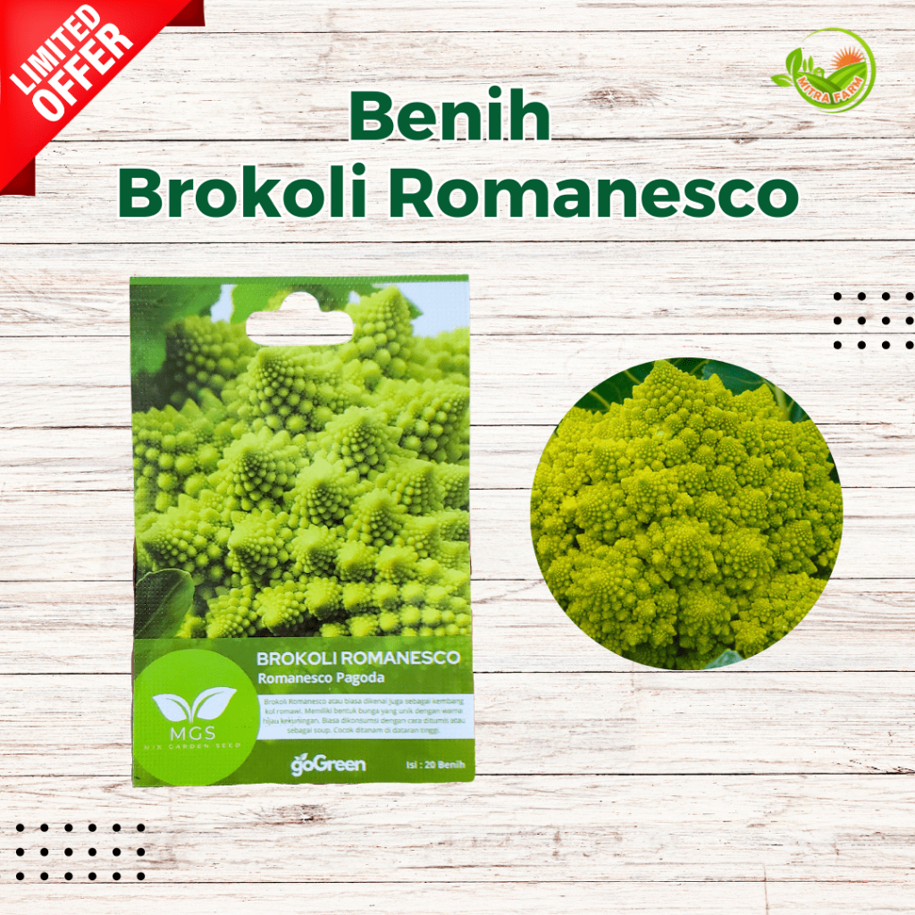 Benih Brokoli Romanesco/Benih Brokoli Kol Romanesco Murah