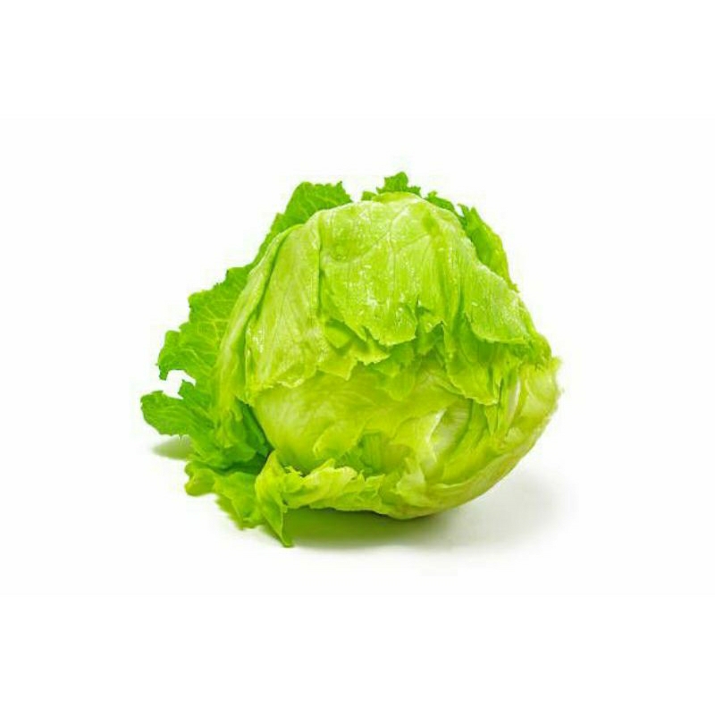 

slada letus 100gr 3000