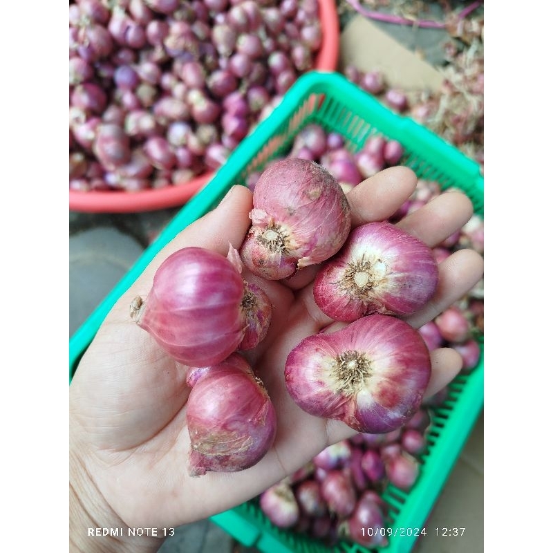 

bawang bima 1kg gros super