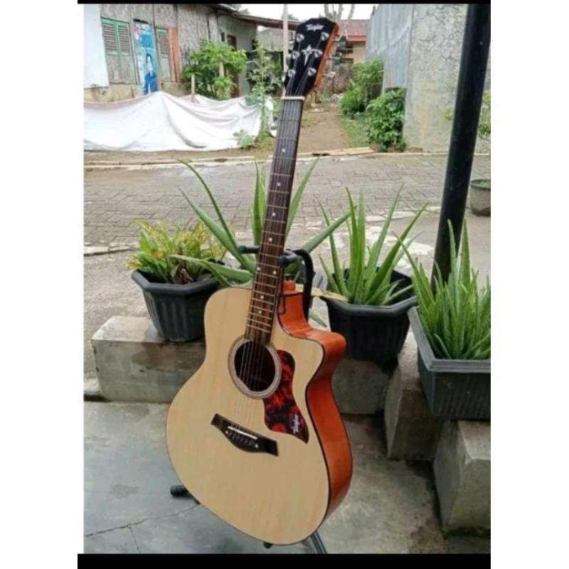 gitar akustik taylor