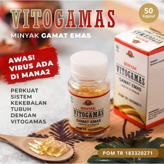vitogamas kapsul minyak gamat emas