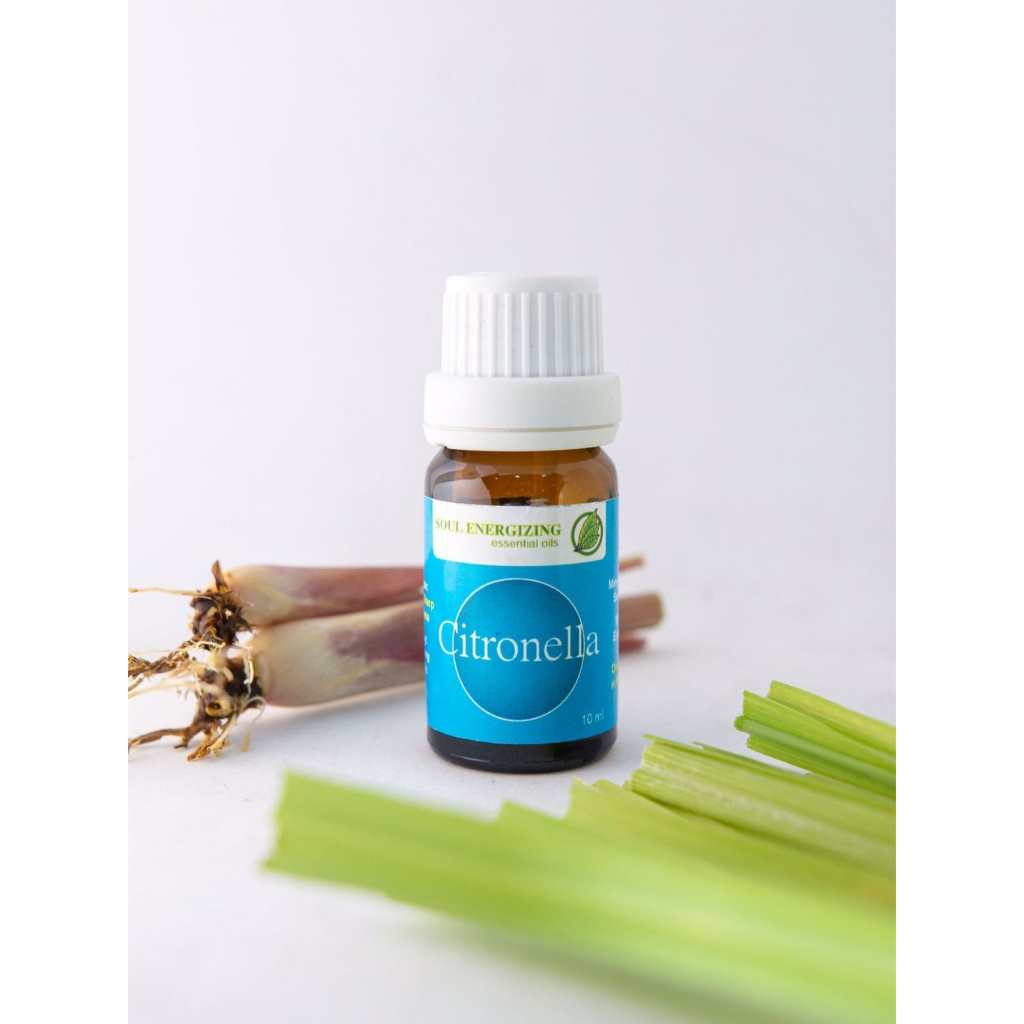Citronella Essential Oil (Minyak Sereh Wangi)
