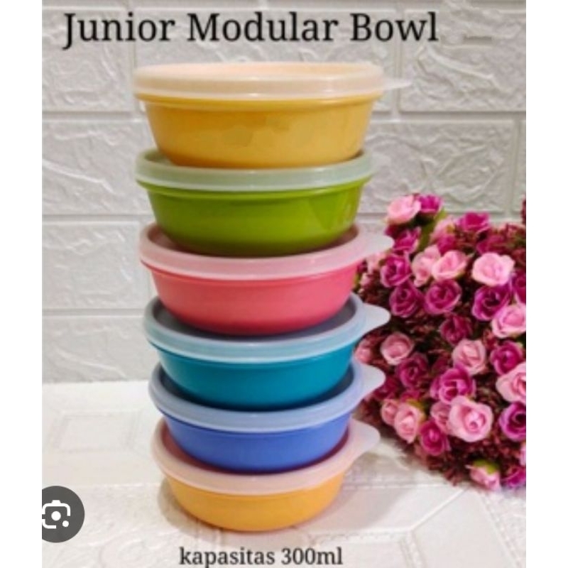 Junior Modular Bowl/Modular Bowl/Kiddie Bowl/star bowl/bowl Tupperware/Tupperware Malaysia/Tupperwar