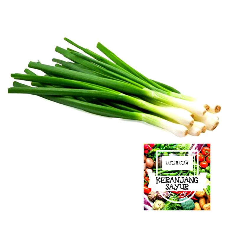 

Daun Bawang (Harga per 100gr)