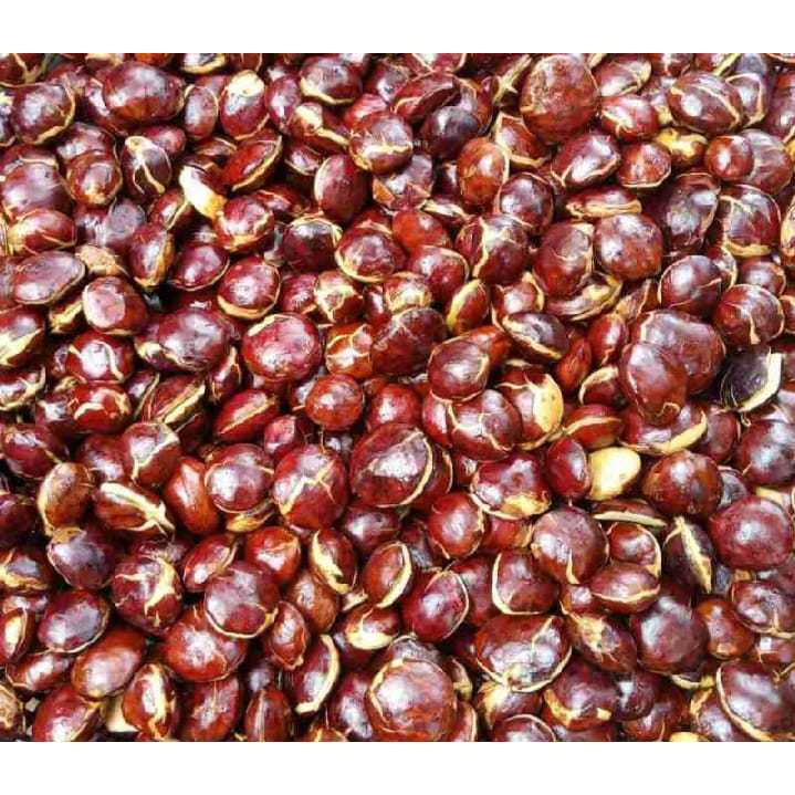 

Jengkol Tua Segar Jengki tua Berat 500g sampe 1kg