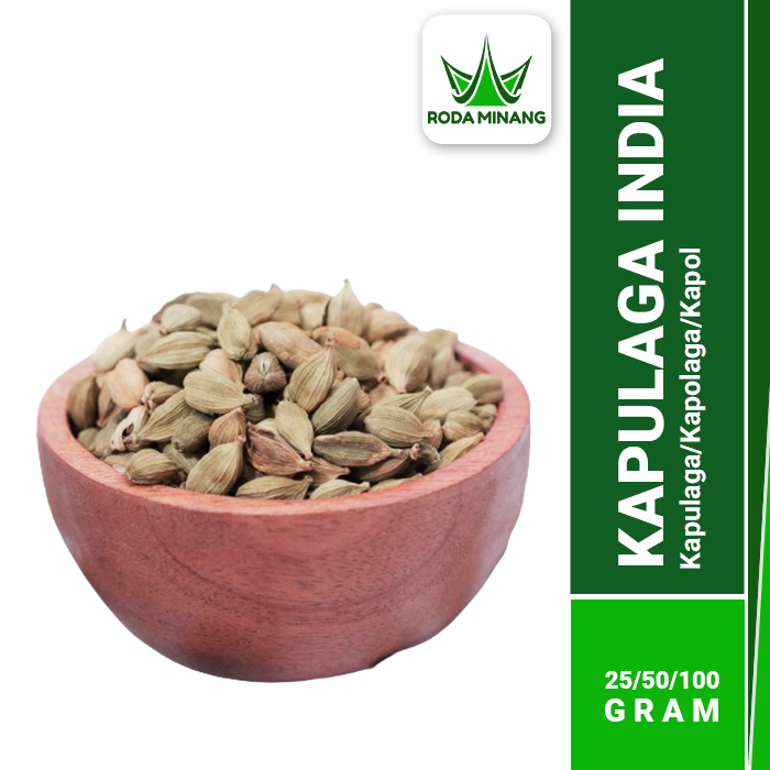 

Kapulaga India Green Cardamon Kapolaga Arab Kapol hijau 100 Gram