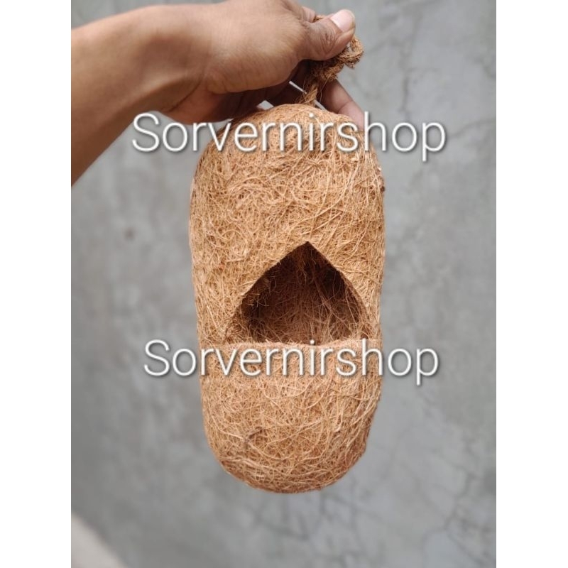 TERBARU..GLODOK SARANG BURUNG BERTELUR LOVEBIRD BENTUK KAPSUL GANTUNG SERABUT KELAPA