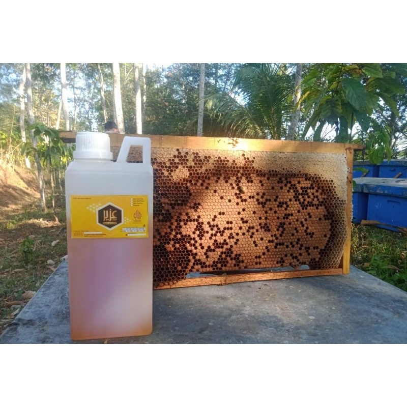 

MADU MURNI ORIGINAL | NEKTAR KALIANDRA SUPER | MENJAGA DAYA TAHAN TUBUH