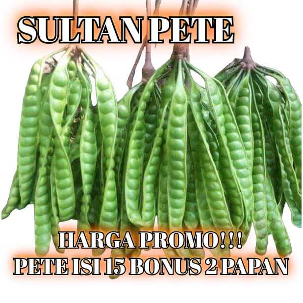 

Promo Pete/Petai Tua Kualitas Super Segar Kemasan isi 15 Papan Gratis Bonus 2 Papan Harga Murah