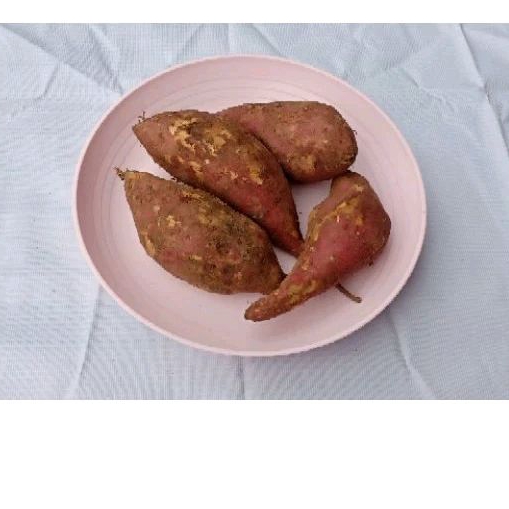 

ubi merah 1kg