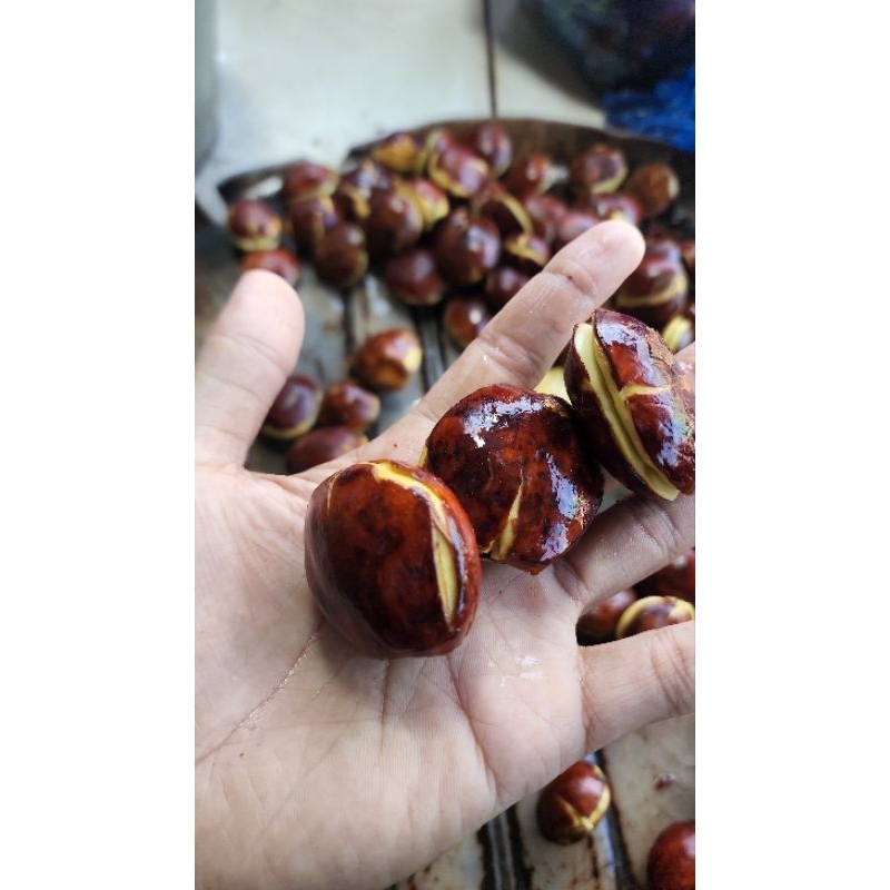

Jengkol Kecil /Garde C. 1 kg