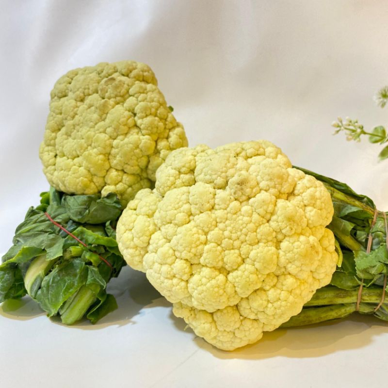 

Bunga kol 1kg