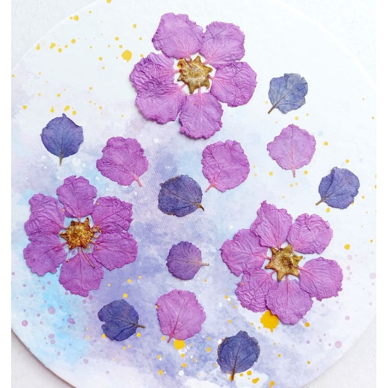 Purple Sakura Pressed Flower - Pressed flower - Bunga kering - Dried flower - Pressed and dried flow