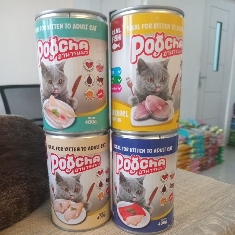 Poocha Makanan Kaleng