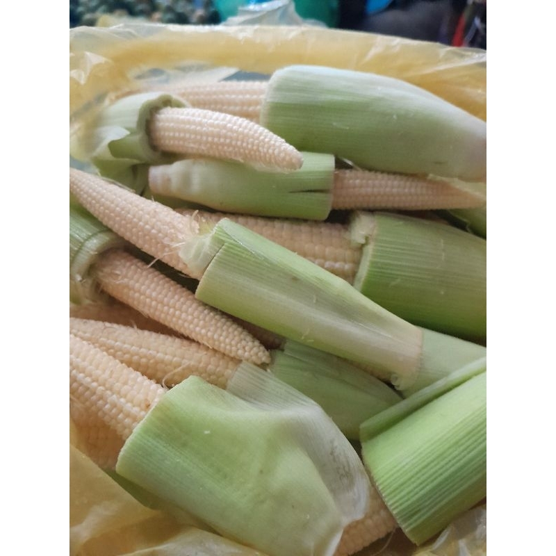 

Jagung muda /Baby corn