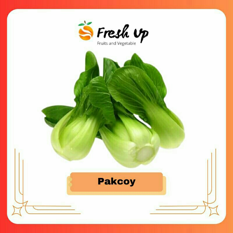 

Pakcoy Super Fresh