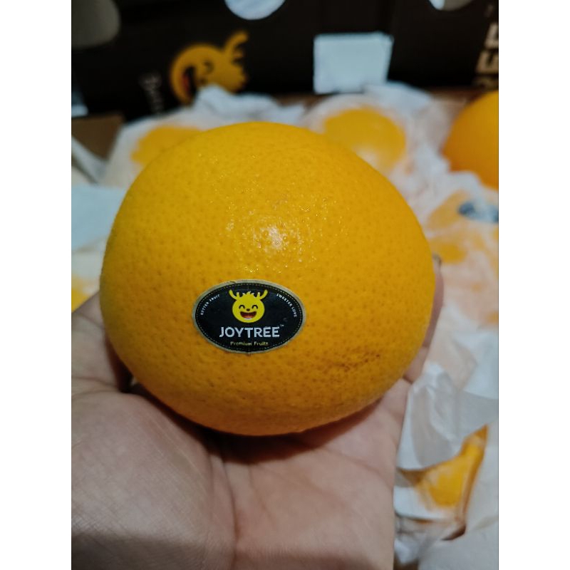 

Buah Jeruk Sunkist 1 kg