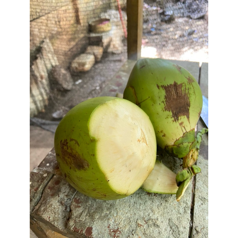

kelapa muda mini