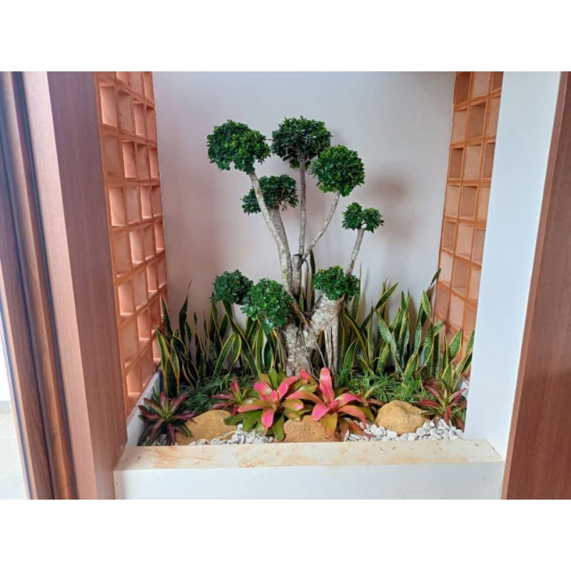 Pembuatan Taman Minimalis / Tukang Taman Jabodetabek / Taman kering