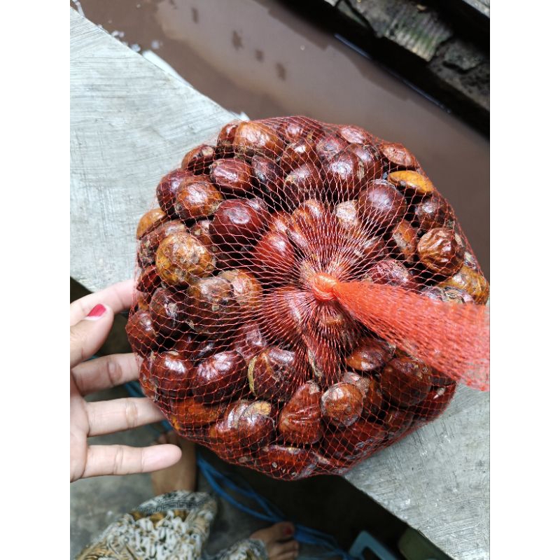

jengkol Jambi 1000gram