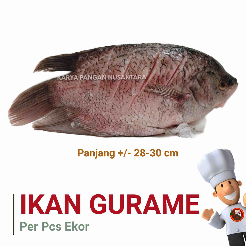 

IKAN GURAME SEGAR BERSIH IKAN GURAMI FRESH FROZEN NETTO PER PCS EKOR