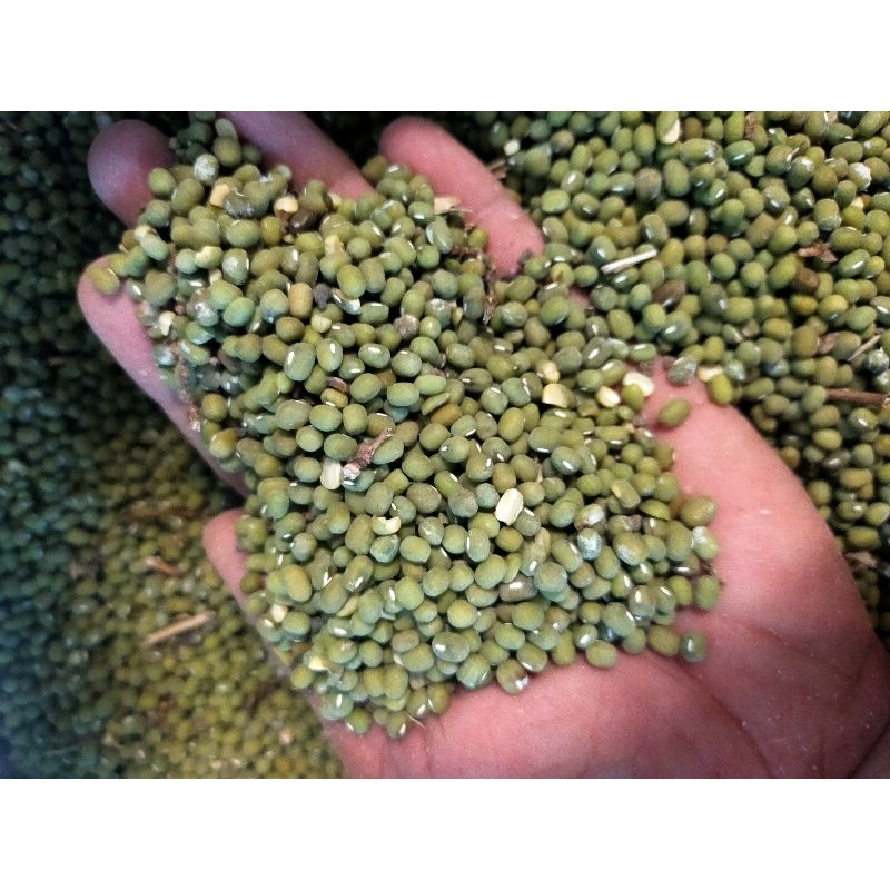 

Kacang Ijo super/Kacang bubur ijo 1000grm