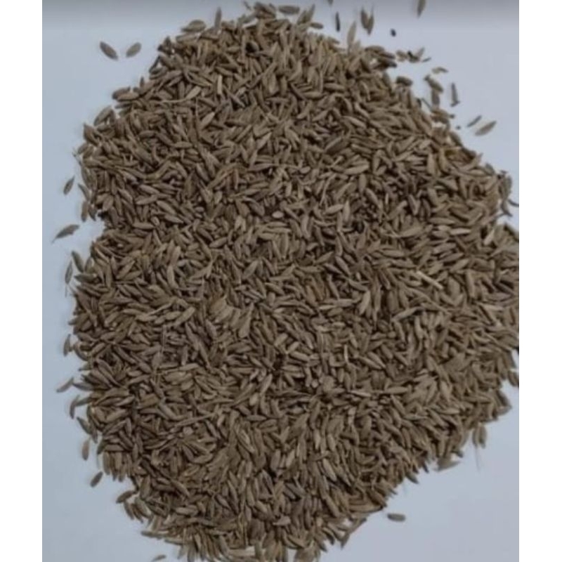 

Jinten putih 250gram / 1gram kwalitas premium