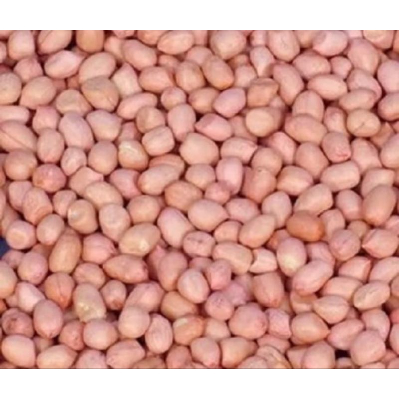 

kacang tanah mentah asli Madura 1kg
