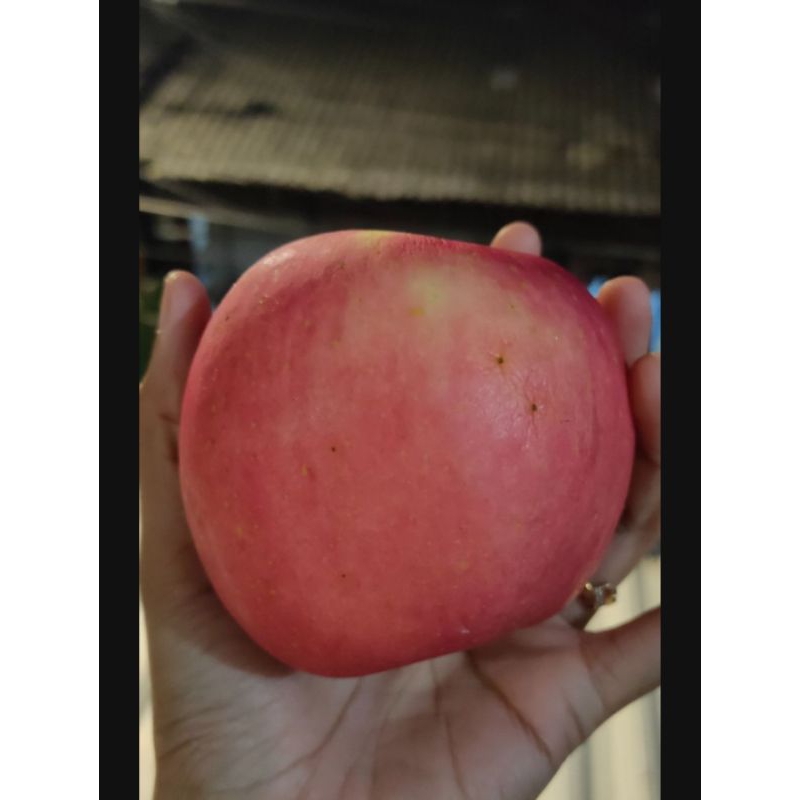 

Apel Fuji (Berat 1 KG)