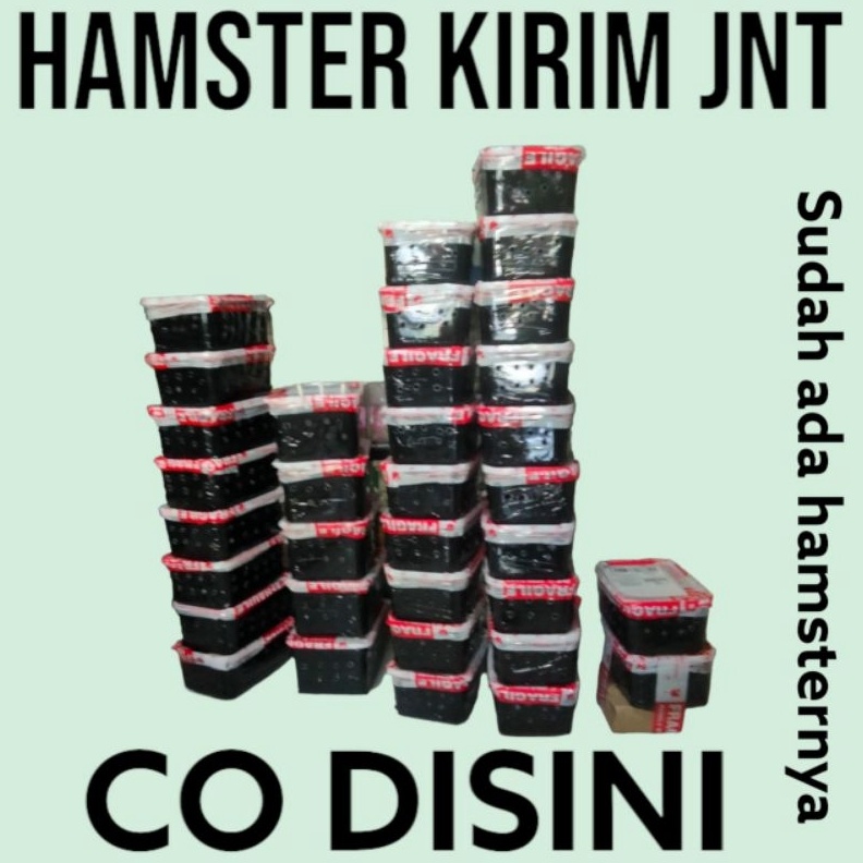 

Packing pengiriman reguler pilih jenis nya KIRIM SEPULAU JAWA