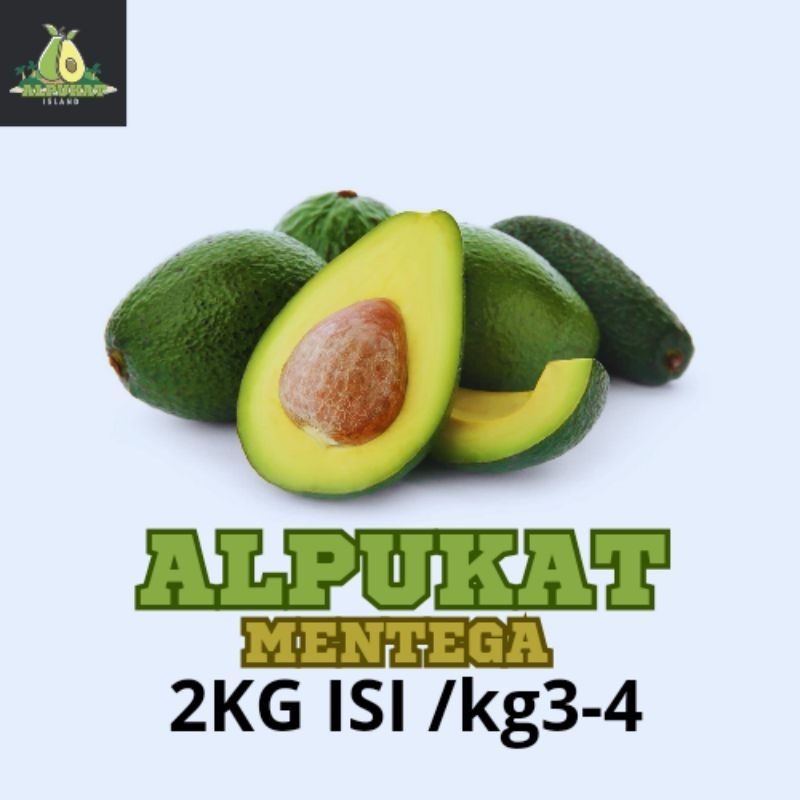 

Alpukat Mentega PREMIUM 2kg /kg 3-4