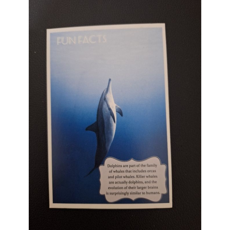 

kartu pos fun fact/fun fact postcard