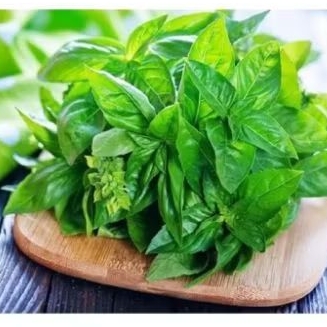 

kemangi segar 100 gr