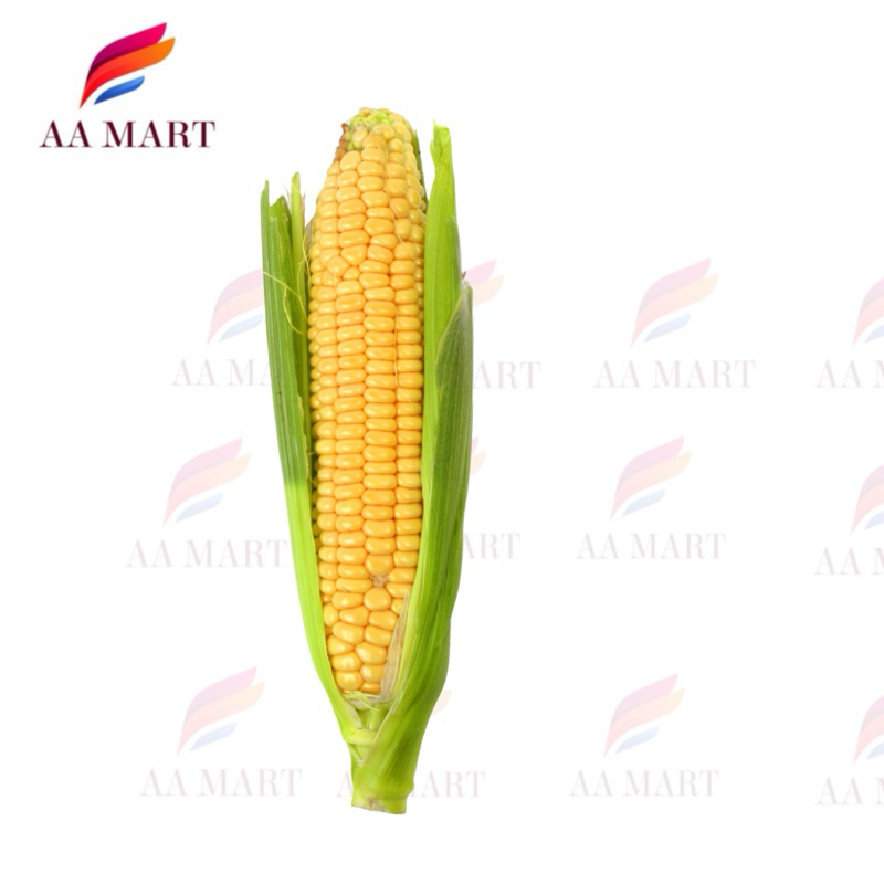 

jagung manis / jagung sayur / jagung gula 1 buah