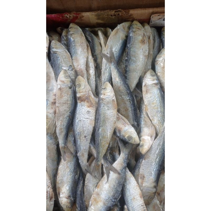 

Tamban Asin 1kg