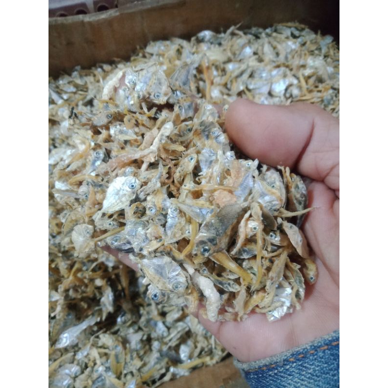 

IKAN ASIN BUYER TAWAR REKOMENDASI BUAT PEYEK KEMASAN 500 GRAM