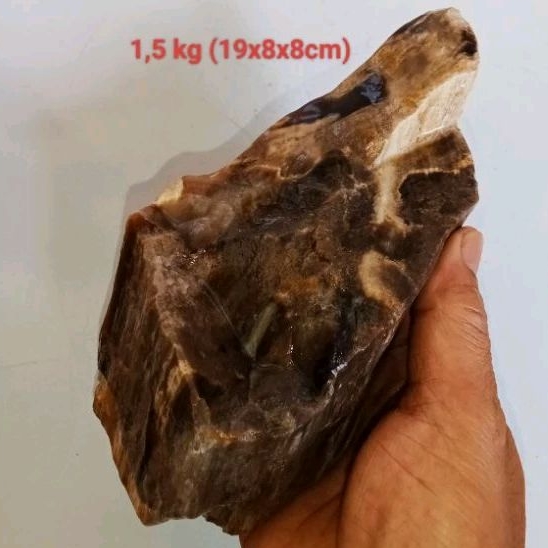 batu fosil galih kelor kristal (496)