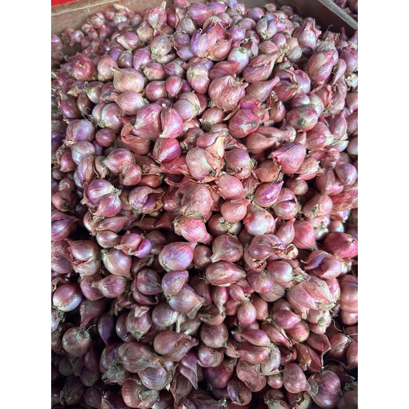 

BAWANG MERAH