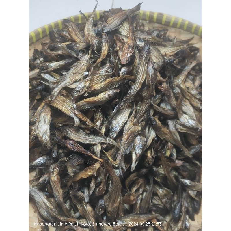 

IKAN SALAI TUNDIAK
