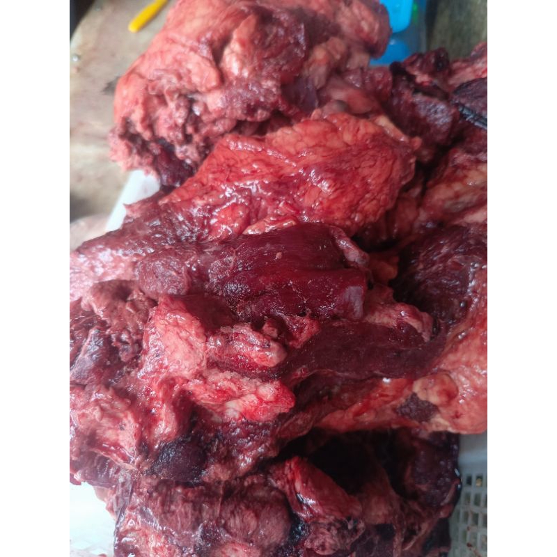 

Sapi Daging Tetelan Super