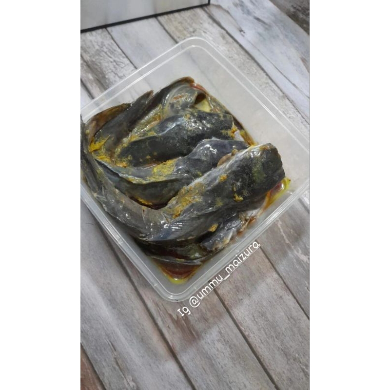 

IKAN LELE BUMBU/UNGKEP