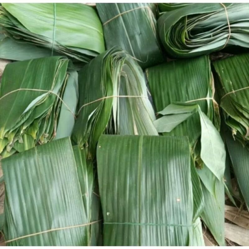 

Pembungkus kue bacang, daun bambu segar 100 lembar