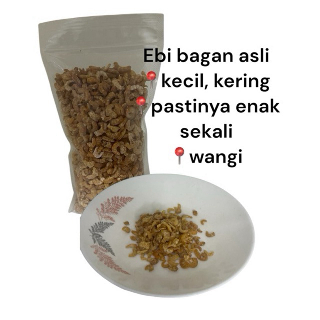 

Ebi Asli Bagan