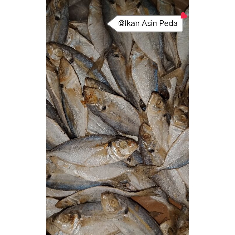 

IKAN ASIN PEDA 250 GRAM
