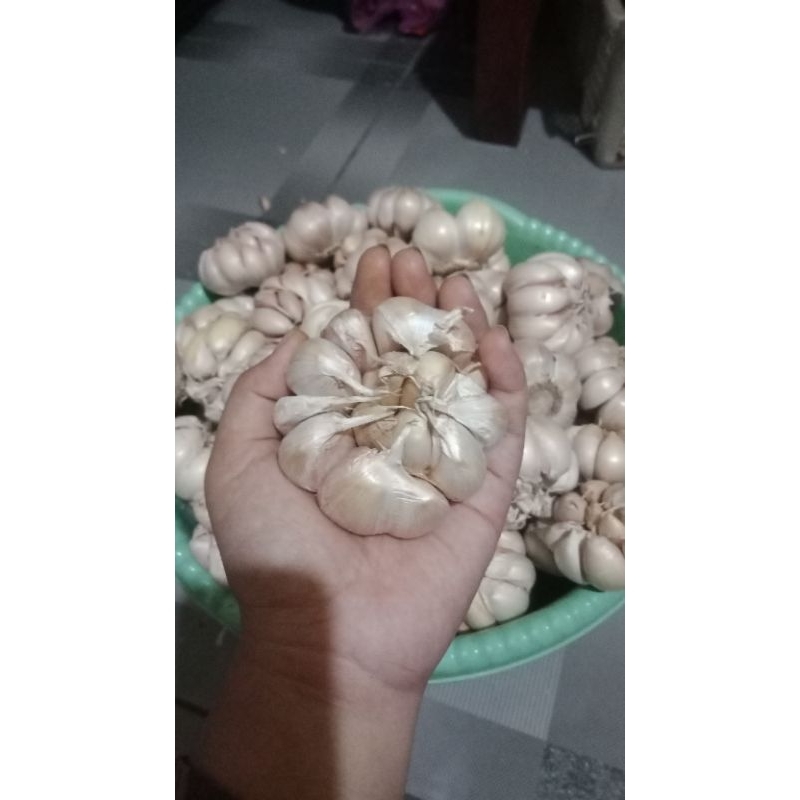 

bawang putih