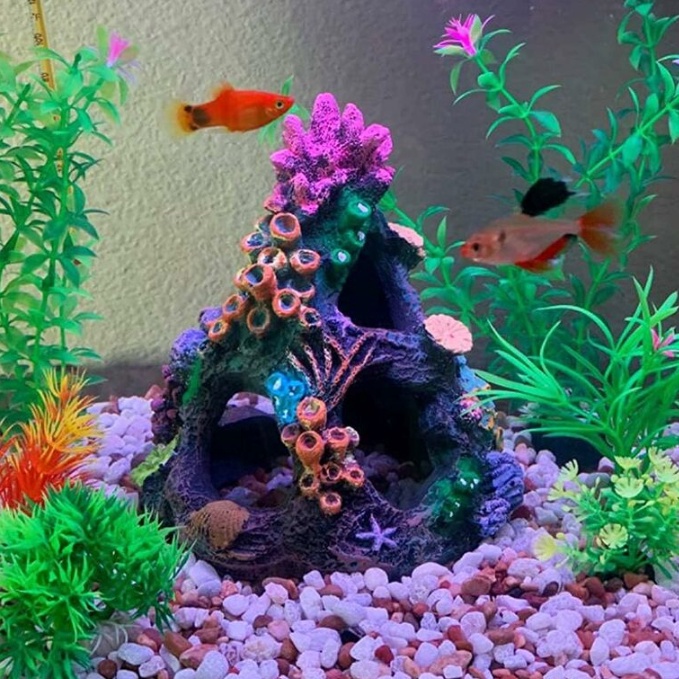 Update Terjamin Goa terumbu karang goa karang gowa karang hiasan goa karang hiasan goa terumbu karan