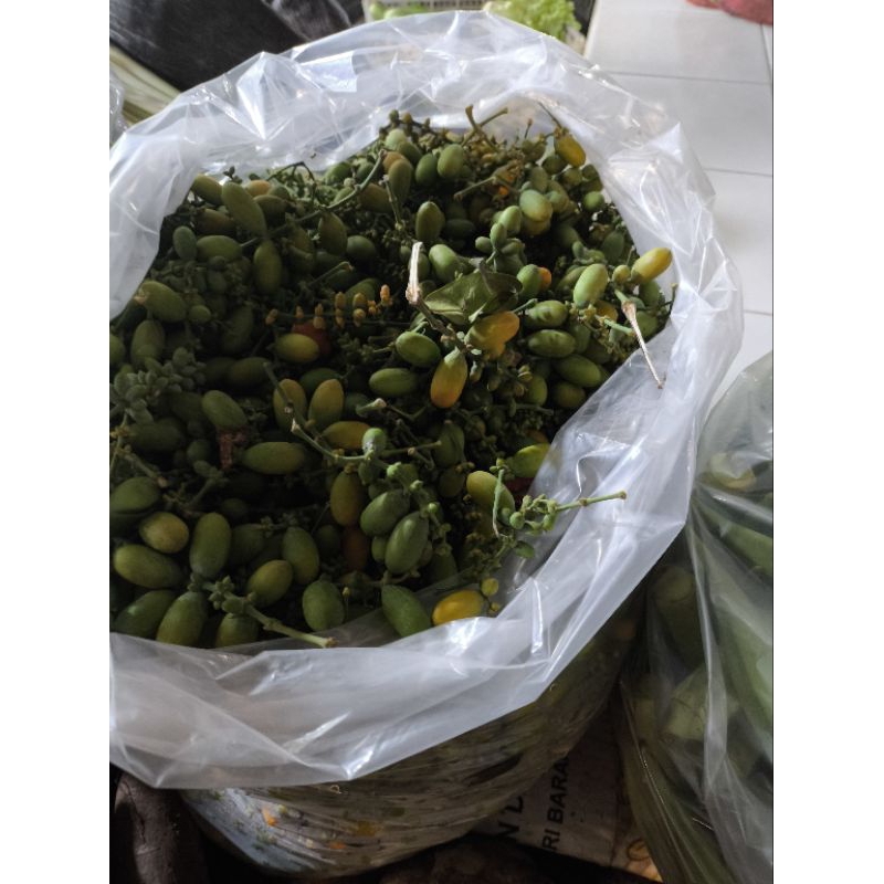 

buah melinjo berat 250grm